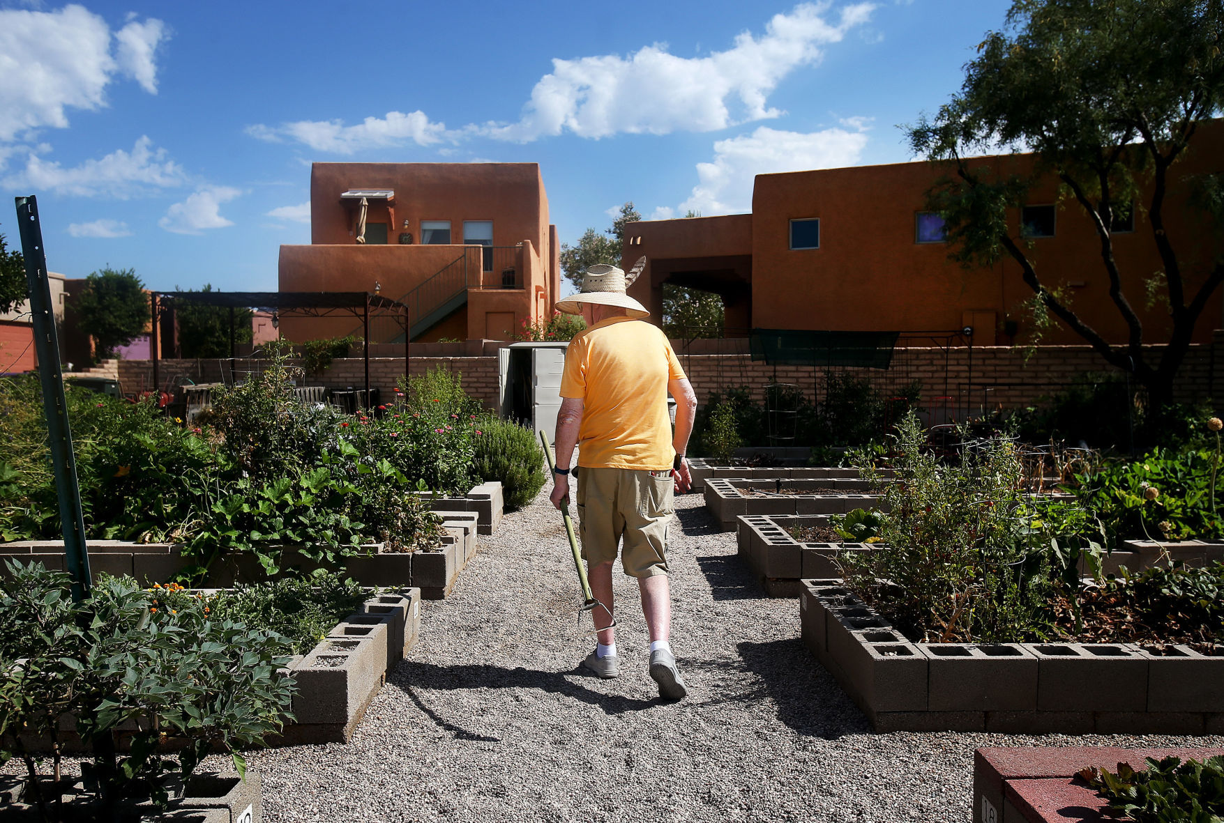 Civano Community Garden
